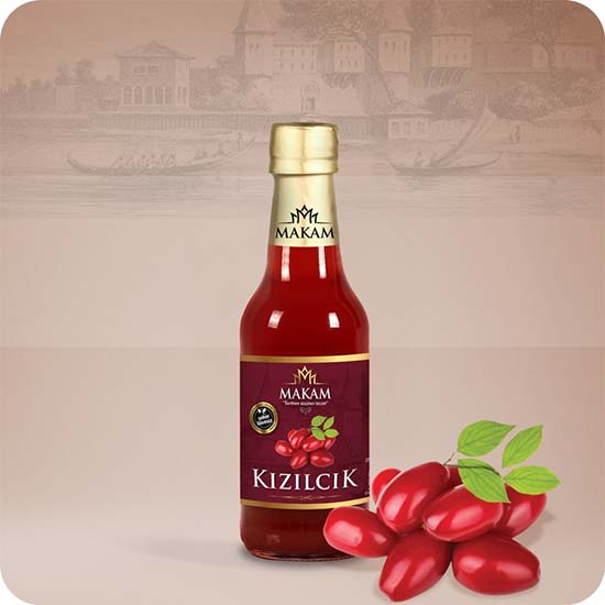 MAKAM GOLD Kızılcık 250 ML 12'li Paket MAKAM GOLD Kızılcık 250 ML 12'li Paket